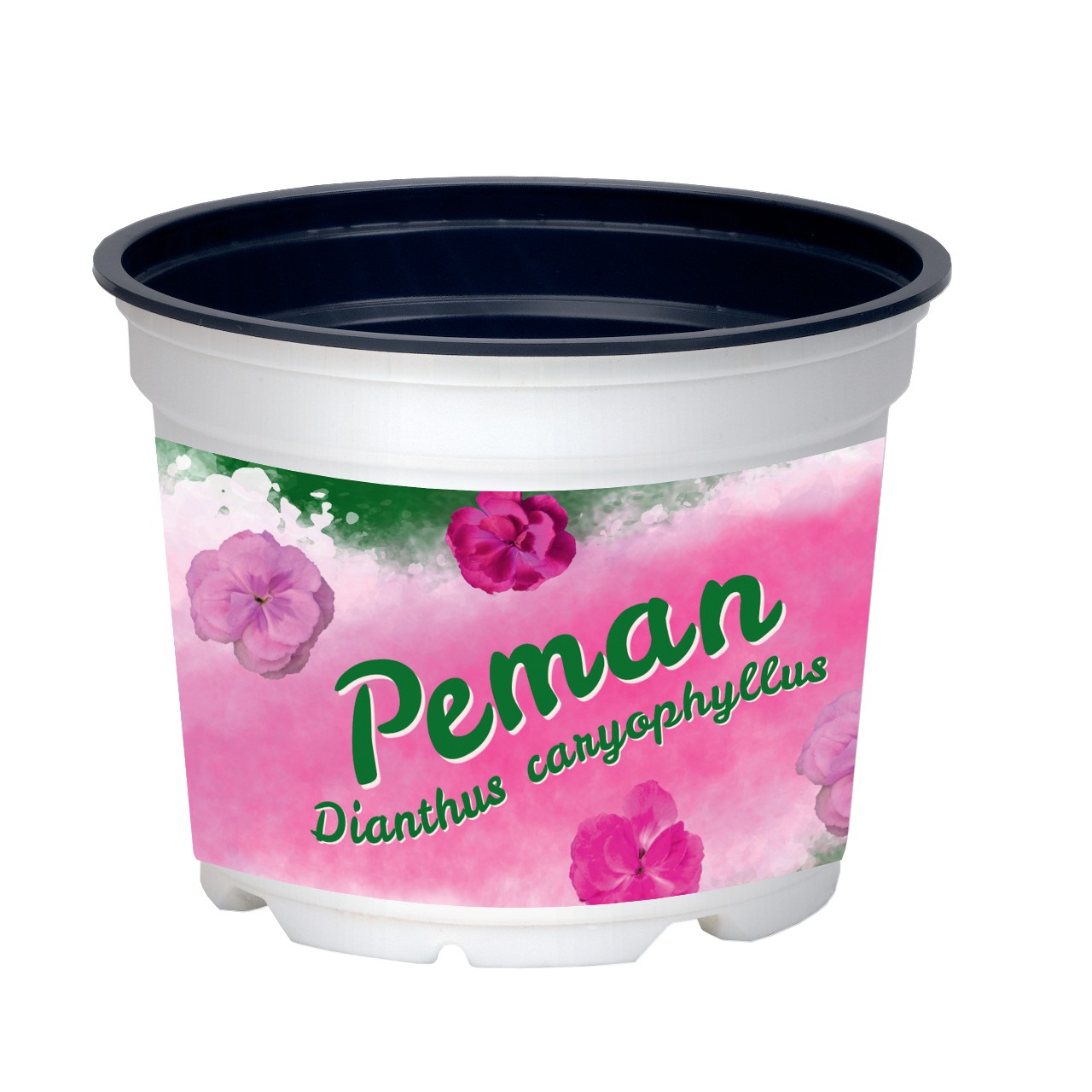 Pot Peman 12 cm