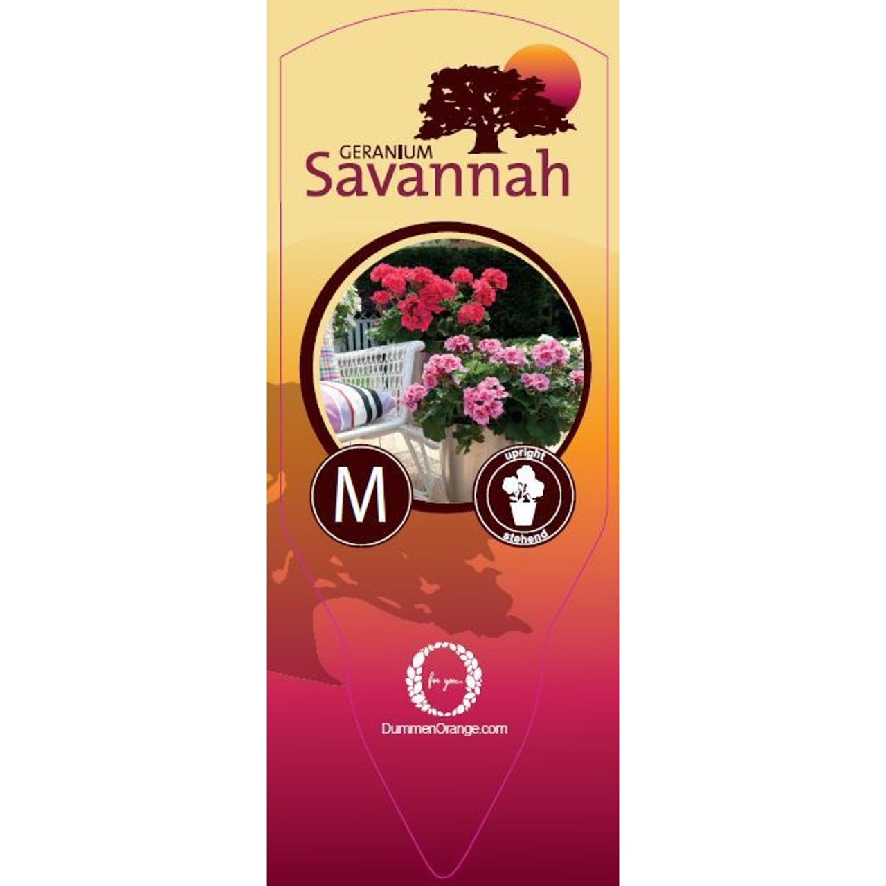 Tag Savannah