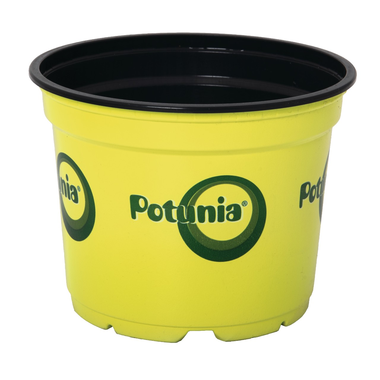 Pot 12 cm Potunia