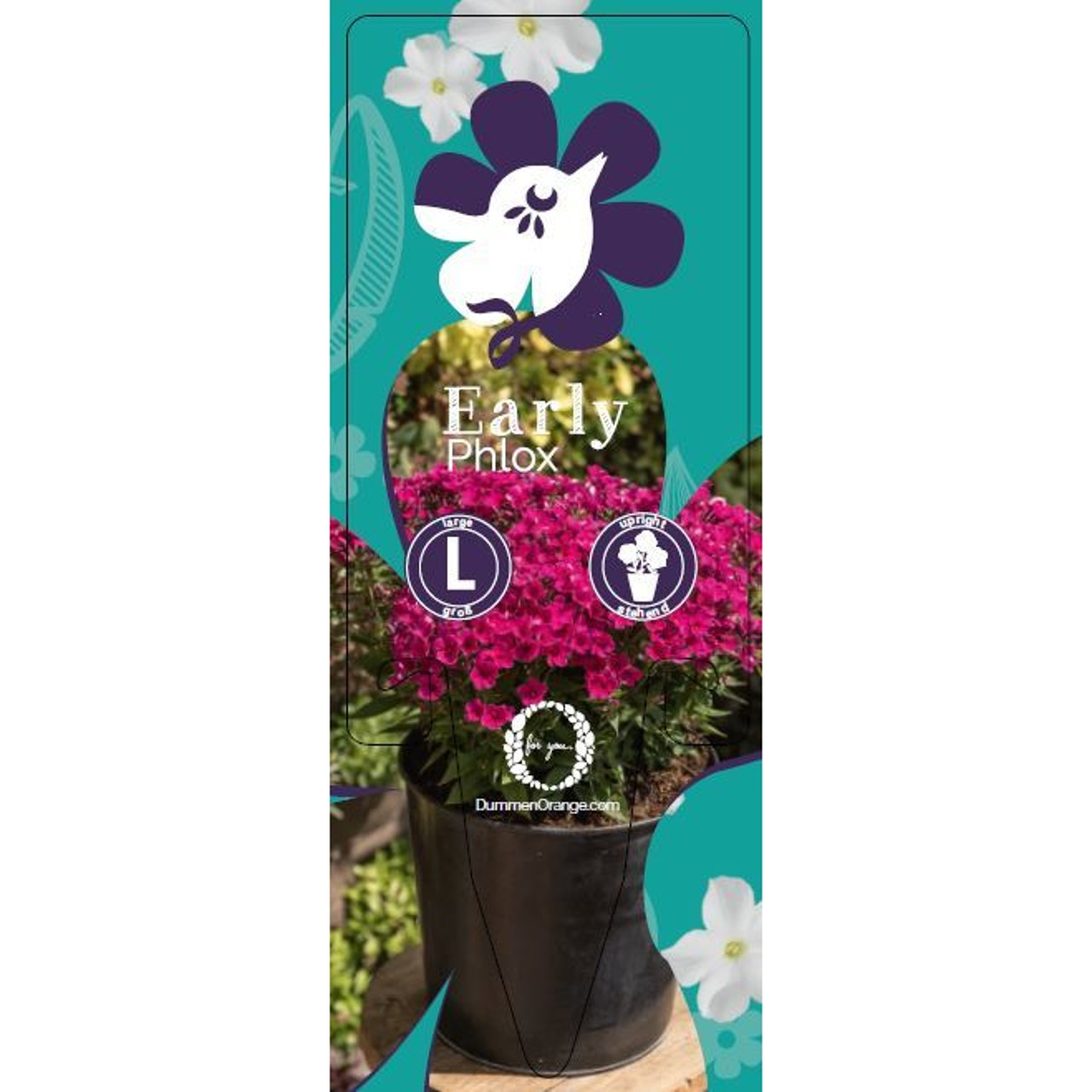 Clicklabel Early 10 cm