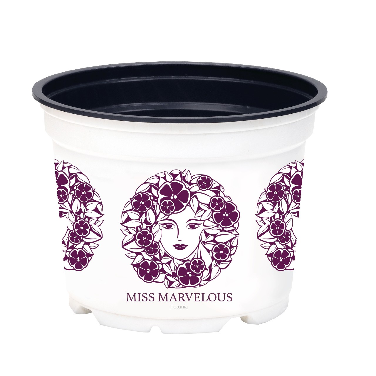 Pot Miss Marvelous 12cm