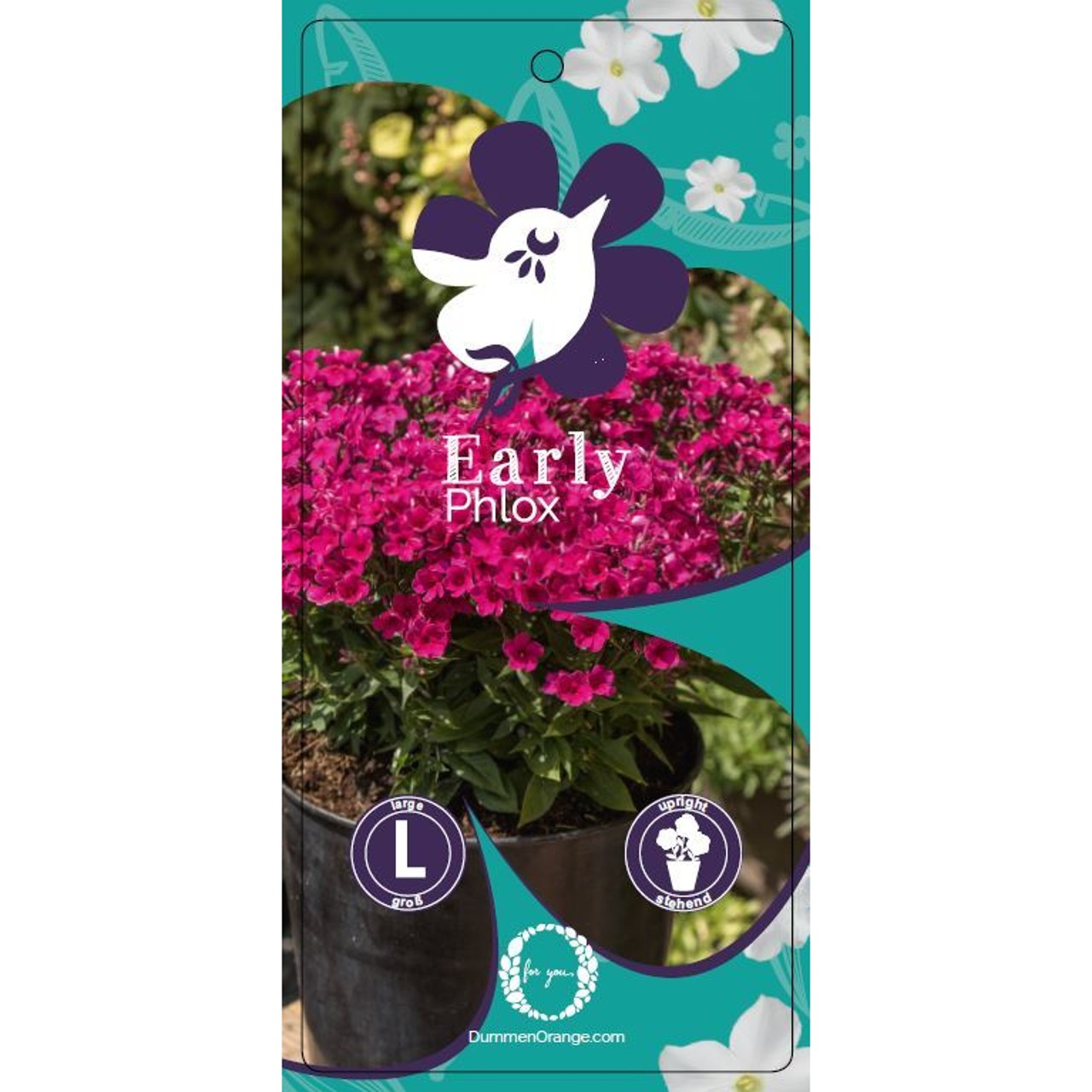 Sticklabel Early 18 cm