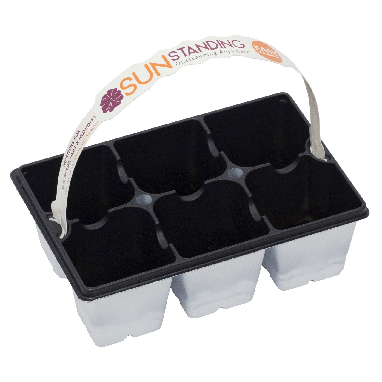 Sixpack white Sunstanding
