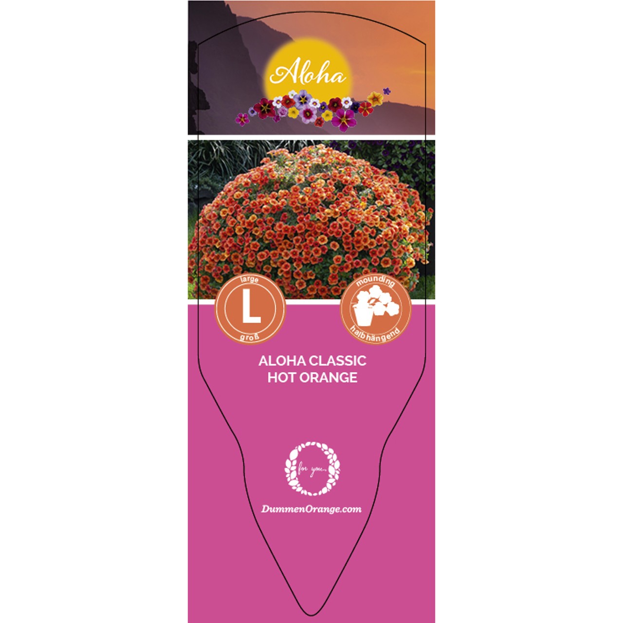Tag Aloha Kona Hot Orange