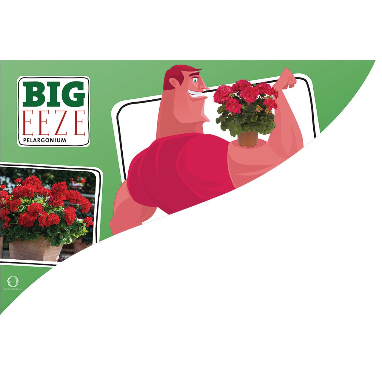 CC-Banner Big Eeze 50x35 cm