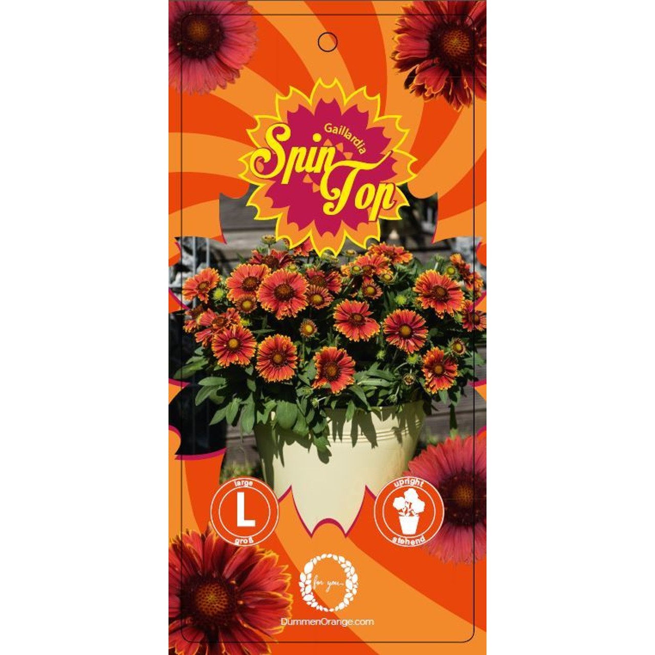Sticklabel SpinTop 18 cm