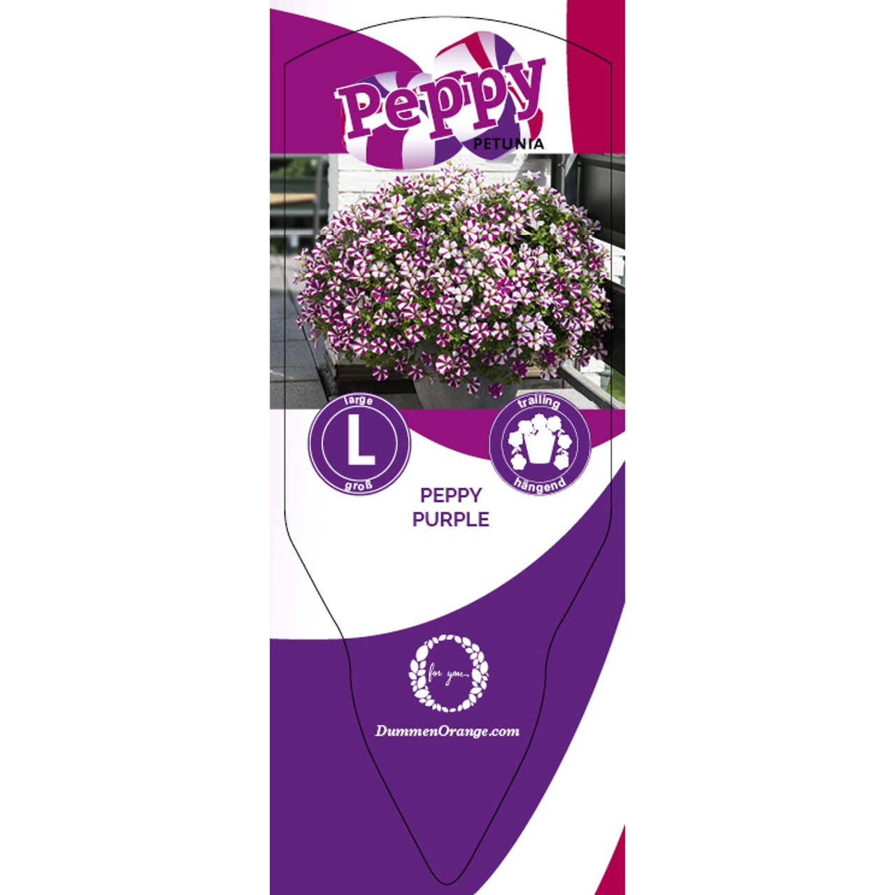 Tag Peppy Purple