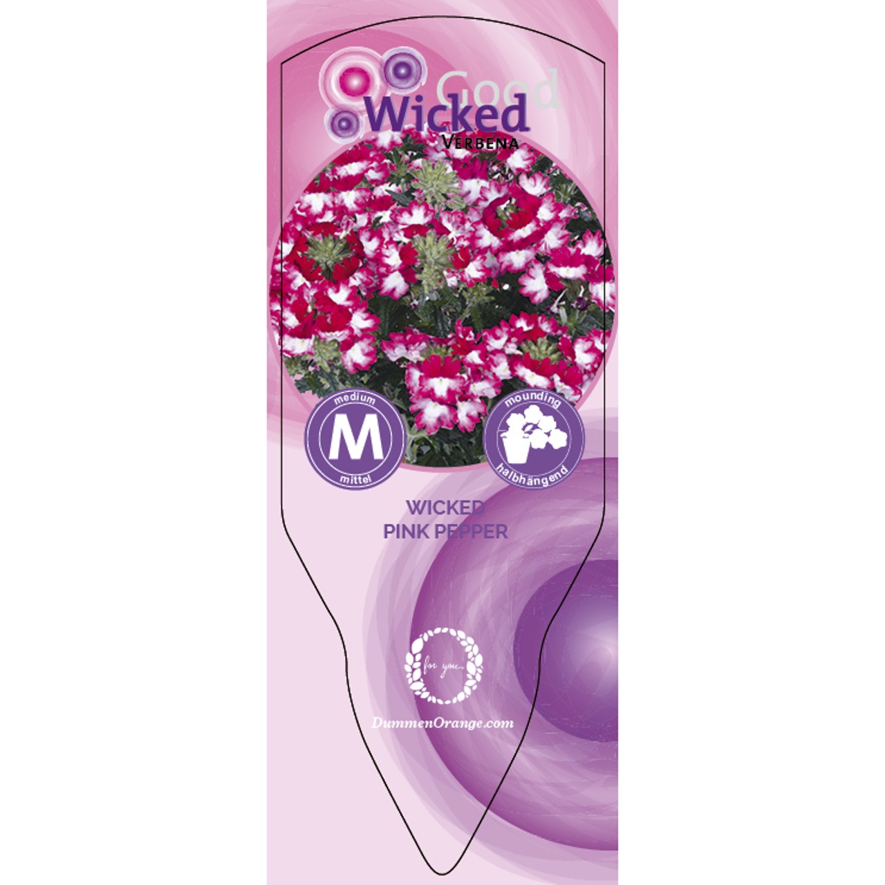 Tag Wicked Pink Pepper