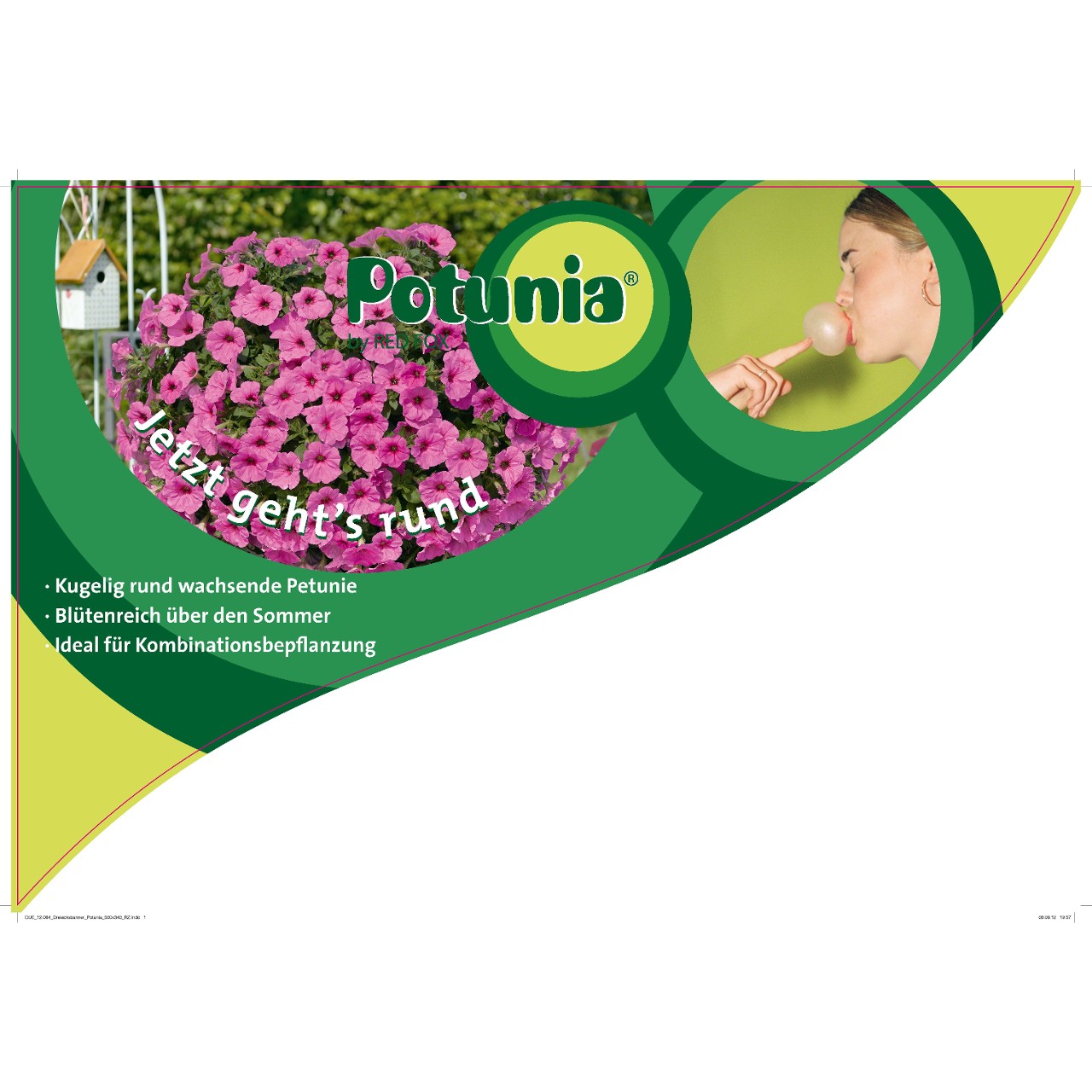 CC-Banner Potunia 50x35 cm D