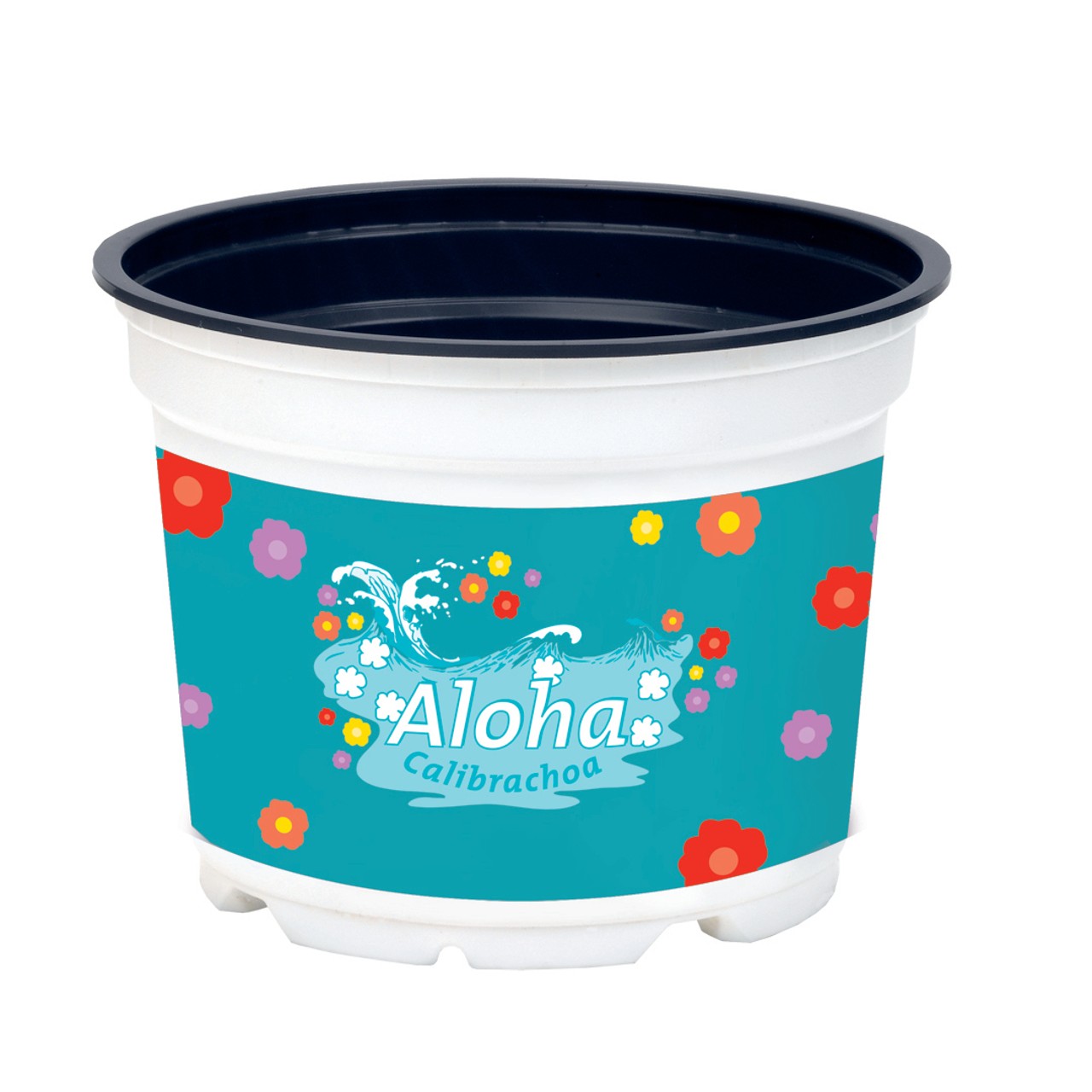Pot 12 cm Aloha